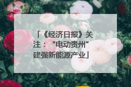 《经济日报》关注：“电动贵州”建强新能源产业