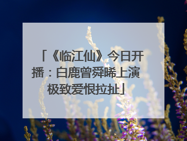 《临江仙》今日开播：白鹿曾舜晞上演极致爱恨拉扯