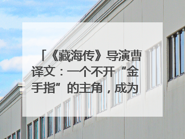 《藏海传》导演曹译文：一个不开“金手指”的主角，成为苍生守护者