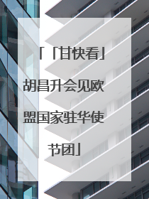 「甘快看」胡昌升会见欧盟国家驻华使节团