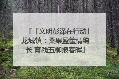 「文明彭泽在行动」龙城镇：桑果盈筐情绵长 育践五柳报春晖