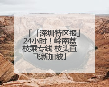 「深圳特区报」24小时！岭南荔枝乘专线 枝头直飞新加坡