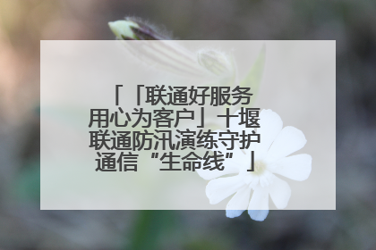 「联通好服务 用心为客户」十堰联通防汛演练守护通信“生命线”