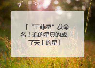 “王菲星”获命名！追的星真的成了天上的星