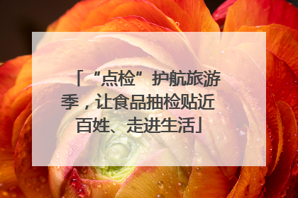 “点检”护航旅游季，让食品抽检贴近百姓、走进生活