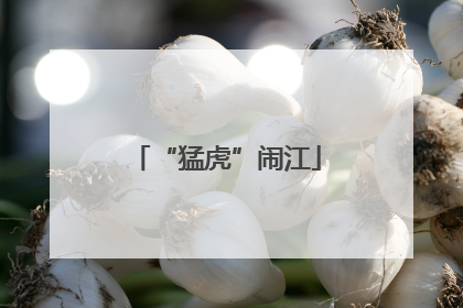 “猛虎”闹江