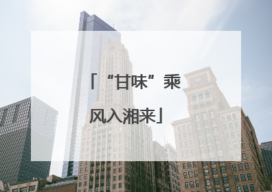 “甘味”乘风入湘来