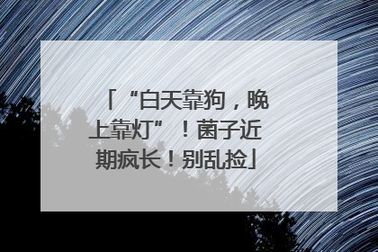 “白天靠狗，晚上靠灯”！菌子近期疯长！别乱捡