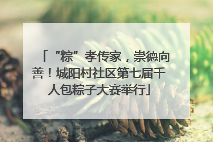 “粽”孝传家，崇德向善！城阳村社区第七届千人包粽子大赛举行