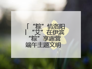 “粽”情洛阳丨“艾”在伊滨 “粽”享露营 端午主题文明实践活动启动