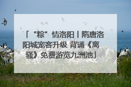 “粽”情洛阳丨隋唐洛阳城宠客升级 背诵《离骚》免费游览九洲池