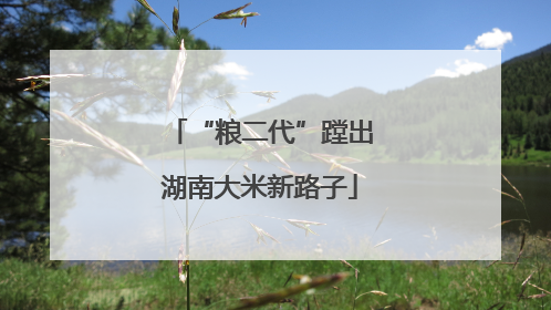 “粮二代”蹚出湖南大米新路子