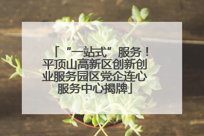 “一站式”服务！平顶山高新区创新创业服务园区党企连心服务中心揭牌