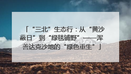 “三北”生态行：从“黄沙蔽日”到“绿毯铺野”——浑善达克沙地的“绿色重生”