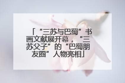“三苏与巴蜀”书画文献展开幕，“三苏父子”的“巴蜀朋友圈”人物亮相
