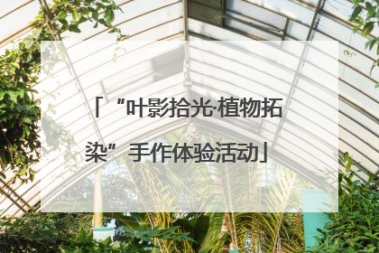 “叶影拾光·植物拓染”手作体验活动