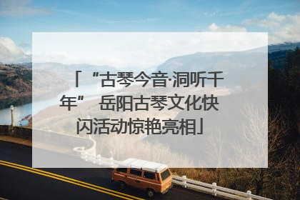 “古琴今音·洞听千年” 岳阳古琴文化快闪活动惊艳亮相