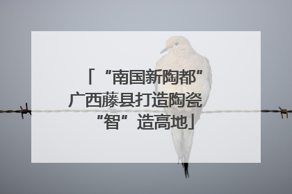 “南国新陶都”广西藤县打造陶瓷“智”造高地