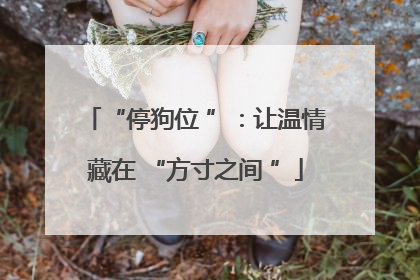 “停狗位 ”：让温情藏在 “方寸之间 ”