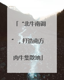 “北牛南调”，打造南方肉牛集散地