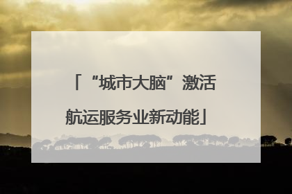 “城市大脑”激活航运服务业新动能