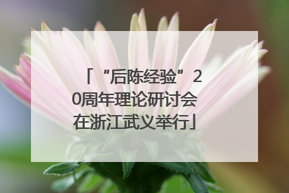 “后陈经验”20周年理论研讨会在浙江武义举行