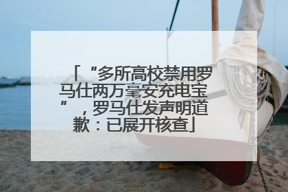 “多所高校禁用罗马仕两万毫安充电宝”，罗马仕发声明道歉：已展开核查