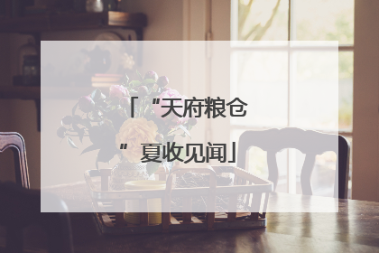 “天府粮仓”夏收见闻