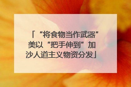 “将食物当作武器” 美以“把手伸到”加沙人道主义物资分发