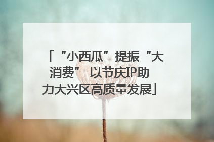“小西瓜”提振“大消费” 以节庆IP助力大兴区高质量发展