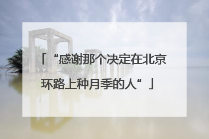 “感谢那个决定在北京环路上种月季的人”