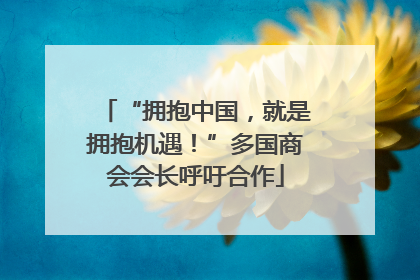 “拥抱中国，就是拥抱机遇！”多国商会会长呼吁合作