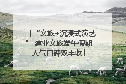 “文旅+沉浸式演艺” 建业文旅端午假期人气口碑双丰收