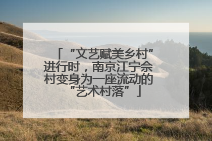 “文艺赋美乡村”进行时，南京江宁佘村变身为一座流动的“艺术村落”