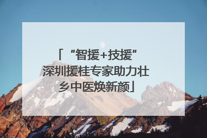 “智援+技援” 深圳援桂专家助力壮乡中医焕新颜