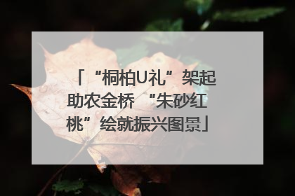 “桐柏U礼”架起助农金桥 “朱砂红桃”绘就振兴图景