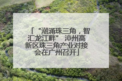 “潮涌珠三角，智汇龙江畔” 漳州高新区珠三角产业对接会在广州召开