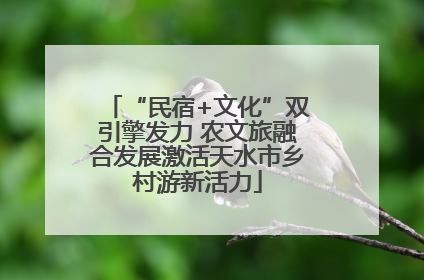 “民宿+文化”双引擎发力 农文旅融合发展激活天水市乡村游新活力