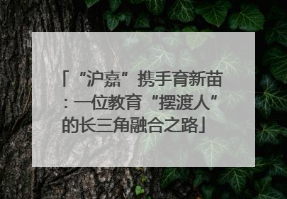 “沪嘉”携手育新苗：一位教育“摆渡人”的长三角融合之路