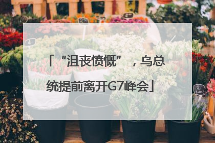 “沮丧愤慨”，乌总统提前离开G7峰会