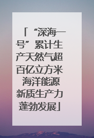 “深海一号”累计生产天然气超百亿立方米 海洋能源新质生产力蓬勃发展