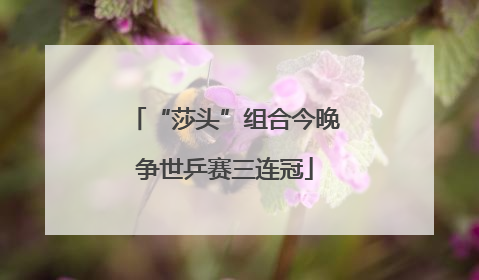“莎头”组合今晚争世乒赛三连冠