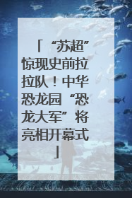 “苏超”惊现史前拉拉队！中华恐龙园“恐龙大军”将亮相开幕式