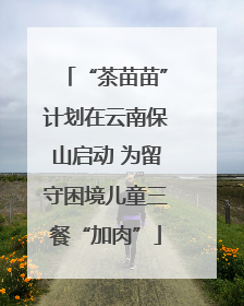 “茶苗苗”计划在云南保山启动 为留守困境儿童三餐“加肉”