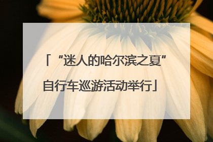 “迷人的哈尔滨之夏”自行车巡游活动举行