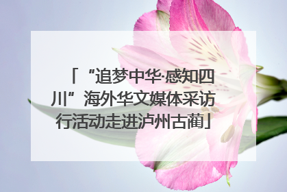 “追梦中华·感知四川”海外华文媒体采访行活动走进泸州古蔺