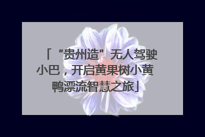 “贵州造”无人驾驶小巴，开启黄果树小黄鸭漂流智慧之旅