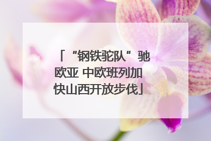 “钢铁驼队”驰欧亚 中欧班列加快山西开放步伐
