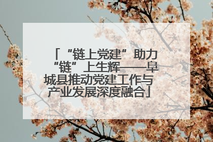 “链上党建”助力“链”上生辉——阜城县推动党建工作与产业发展深度融合