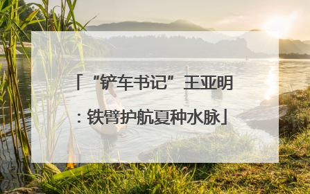 “铲车书记”王亚明：铁臂护航夏种水脉